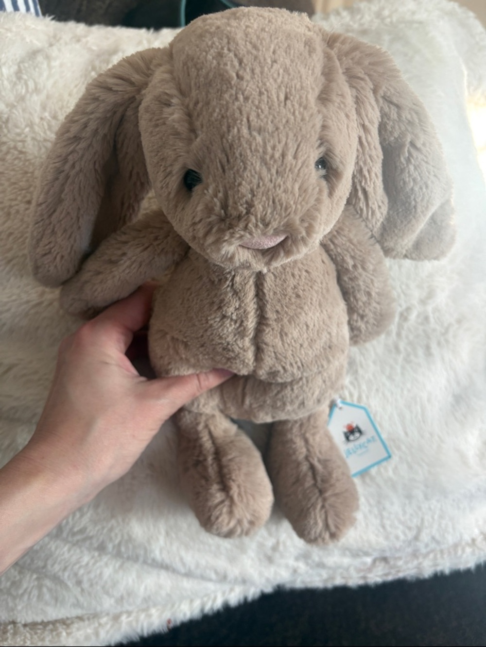 Jellycat Plush Bashful bunny